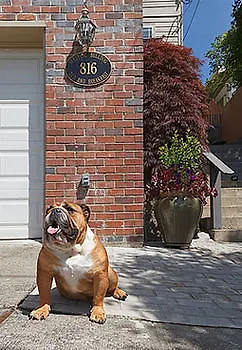 Sleeping Bulldog Bed & Breakfast Seattle 4*,  United States